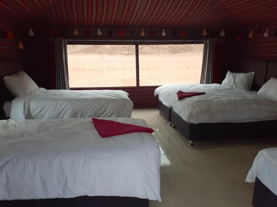 Black Irish Camp And Tours Hotel Wadi Rum Exterior photo