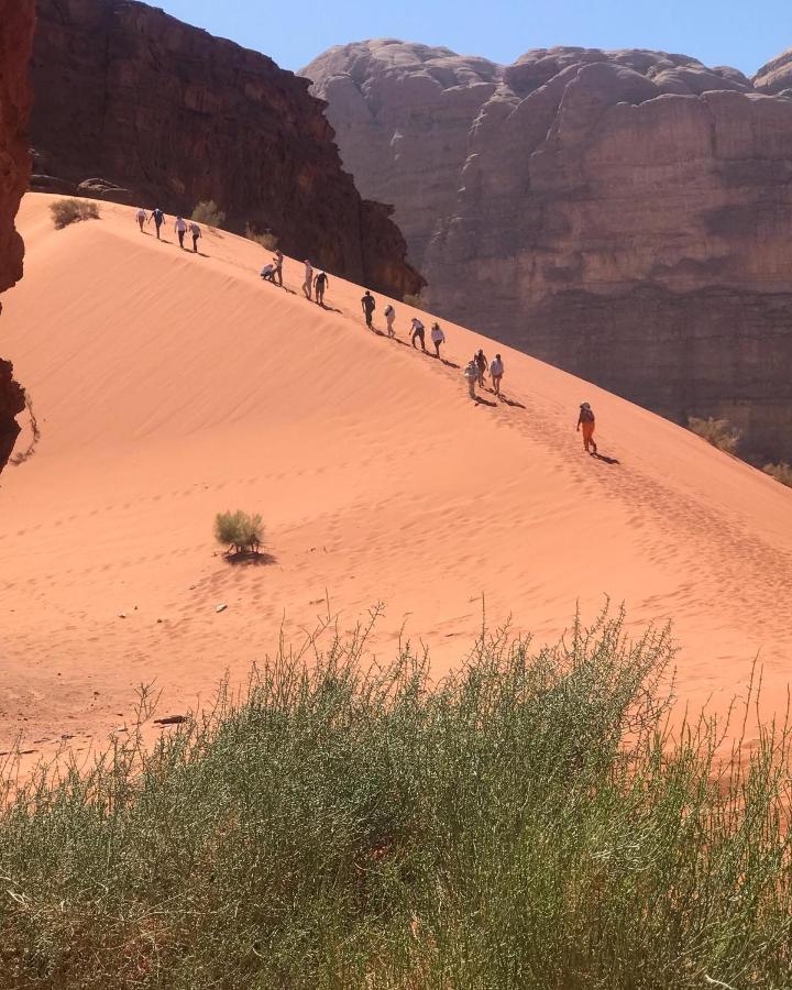 Black Irish Camp And Tours Hotel Wadi Rum Exterior photo